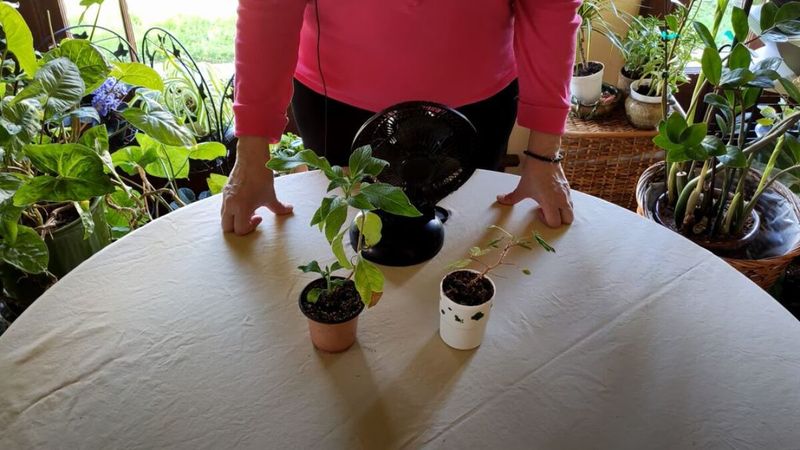 Lack of Air Circulation