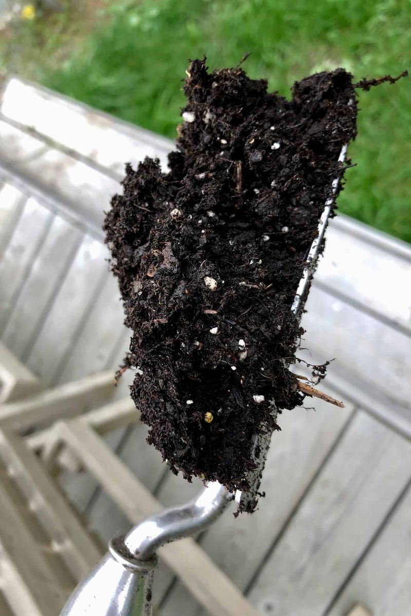 Using Poor-Quality Soil