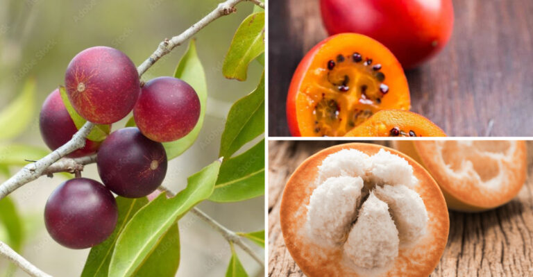 You’re Probably Not Growing This Fruit—But It’s Great for Your Gut