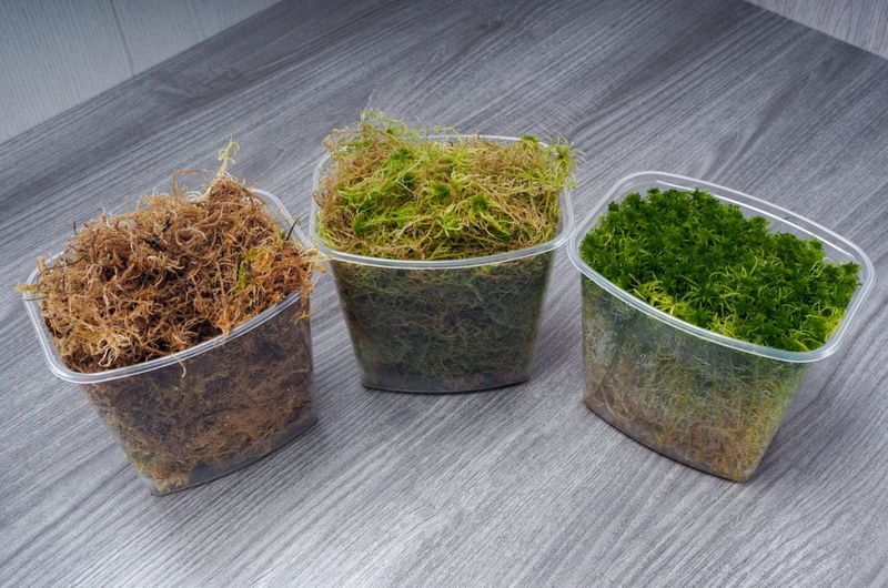 Sphagnum Moss Mixture