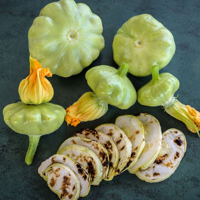 'Bennings Green Tint' Pattypan