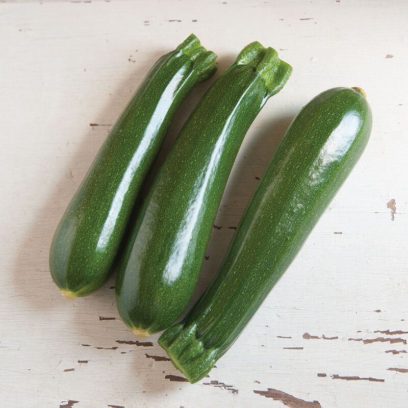 'Dunja' Zucchini