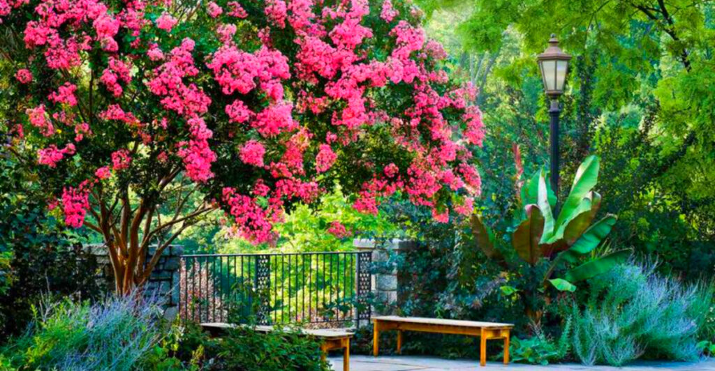 Alabama Backyard Magic: Easy Plants for a Year-Round Garden