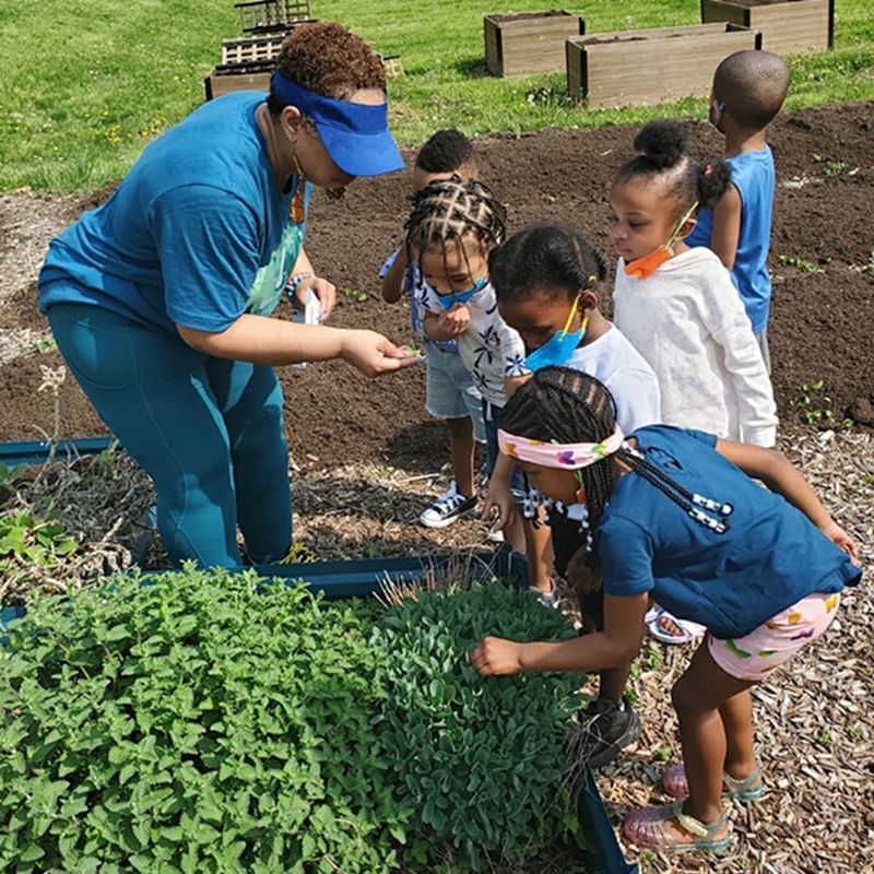 School Gardens Teach Kids About Native Plants