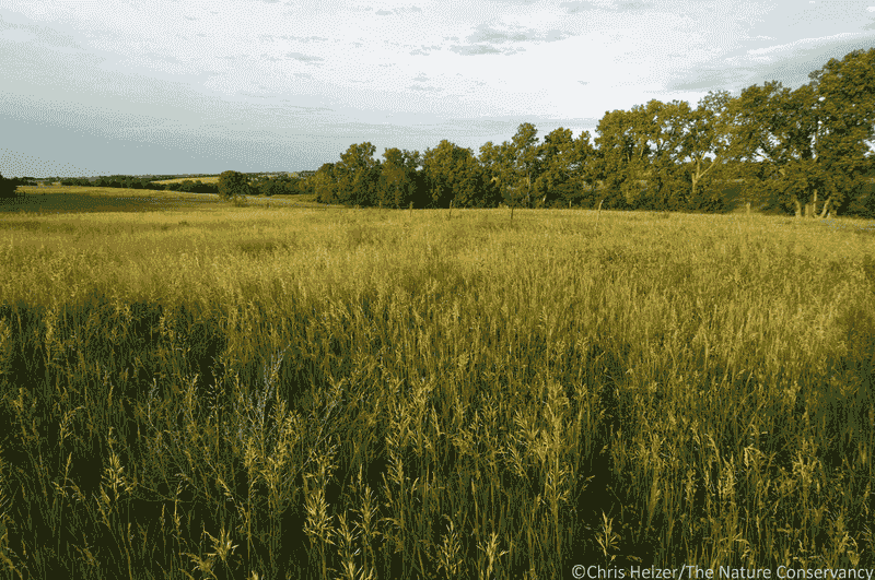 Perfect Match for Kansas Weather Extremes