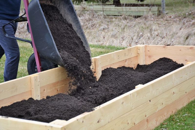 Fill with Quality Soil Mix for Fast Plant Growth