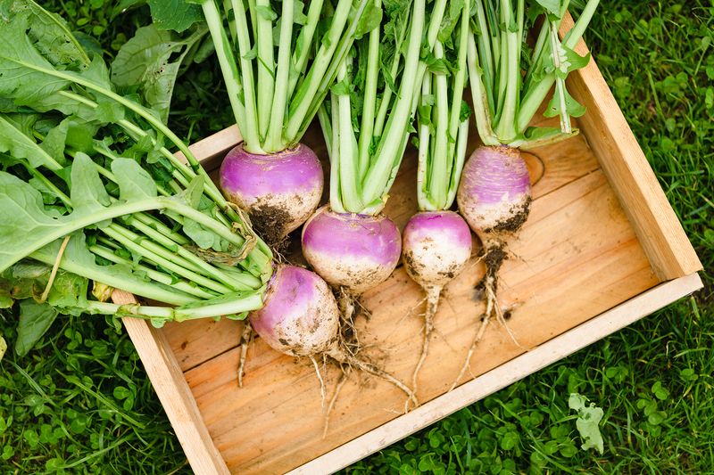 Turnips