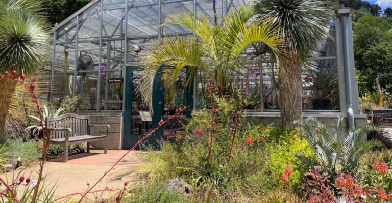 California’s Secret Gardens: 10 Stunning Spots and Tips for Growing Like a Pro