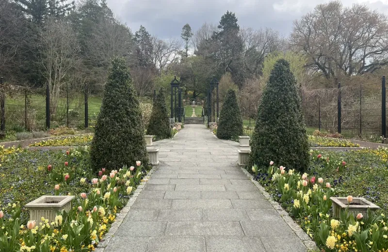 Morris Arboretum
