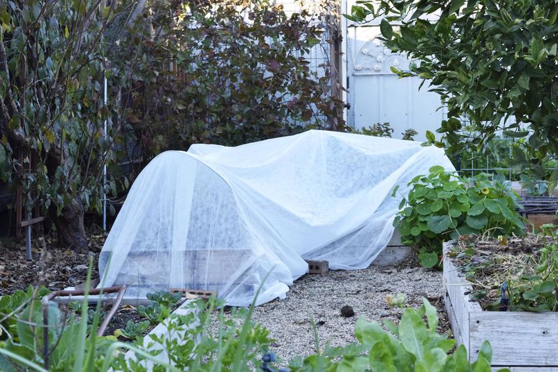 Cover and Protect Crops at Night