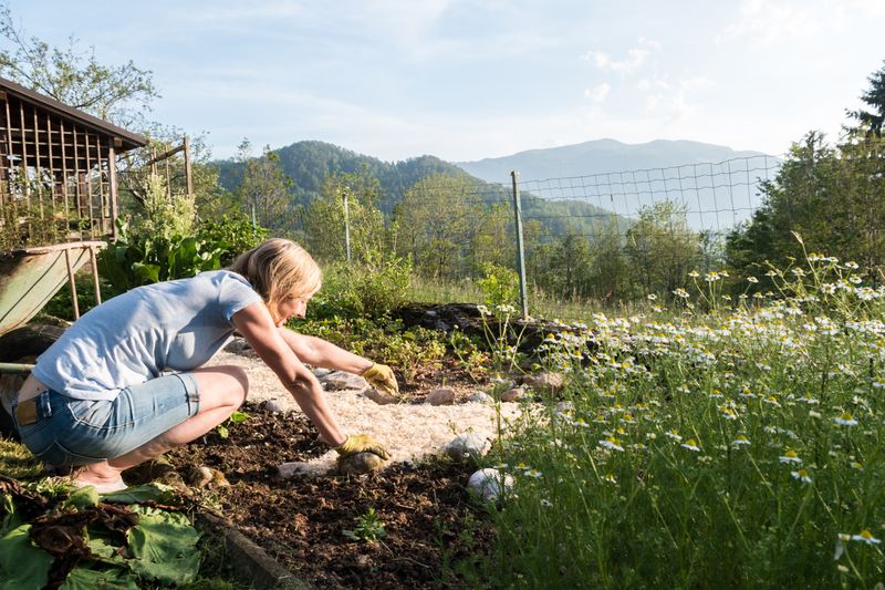 Choose the Perfect Mountain Garden Location