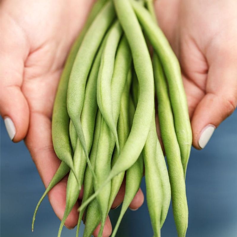 Productive Green Beans