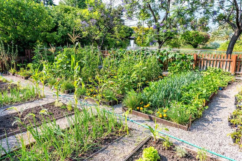 Community Garden Plot