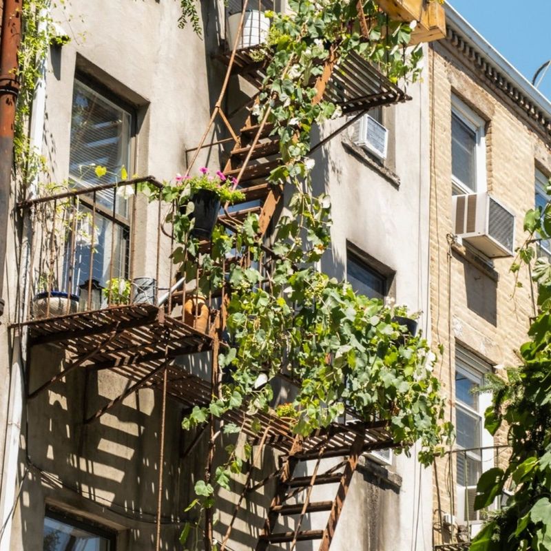 Vertical Growing Maximizes Limited Space