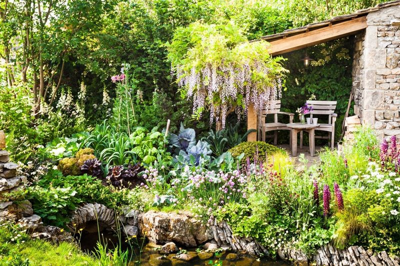 Wildlife-Friendly Gardens