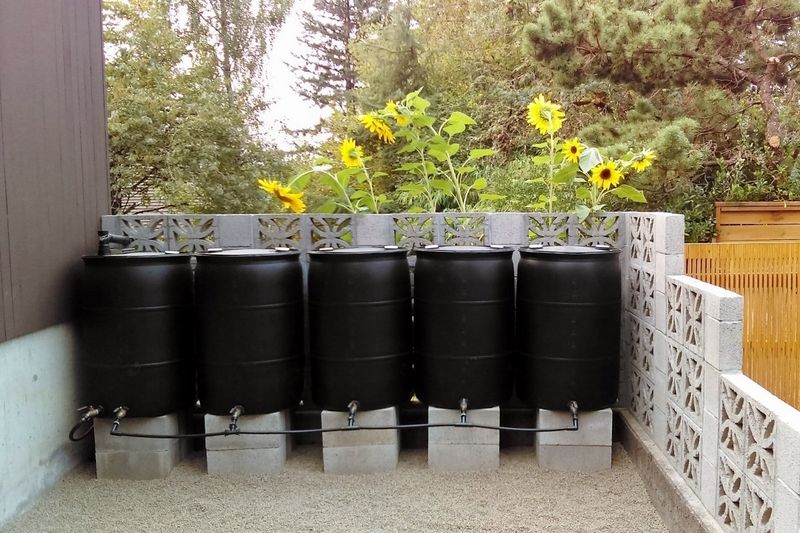 Install Stylish Rain Barrels for Free Water Storage