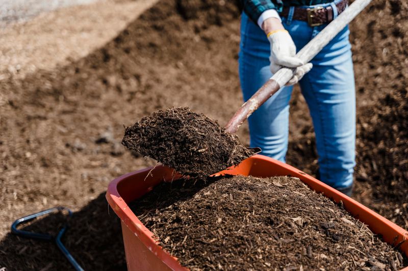 Soil Improvement Techniques - Building Healthy Garden Foundation