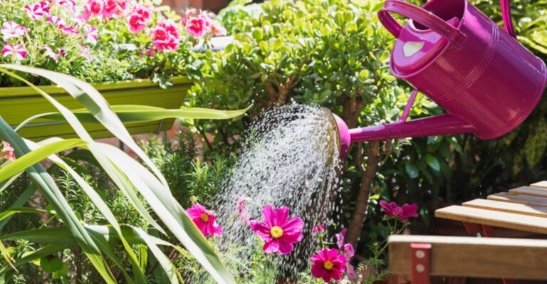 Delaware Gardening Tips: Small State, Big Blooms