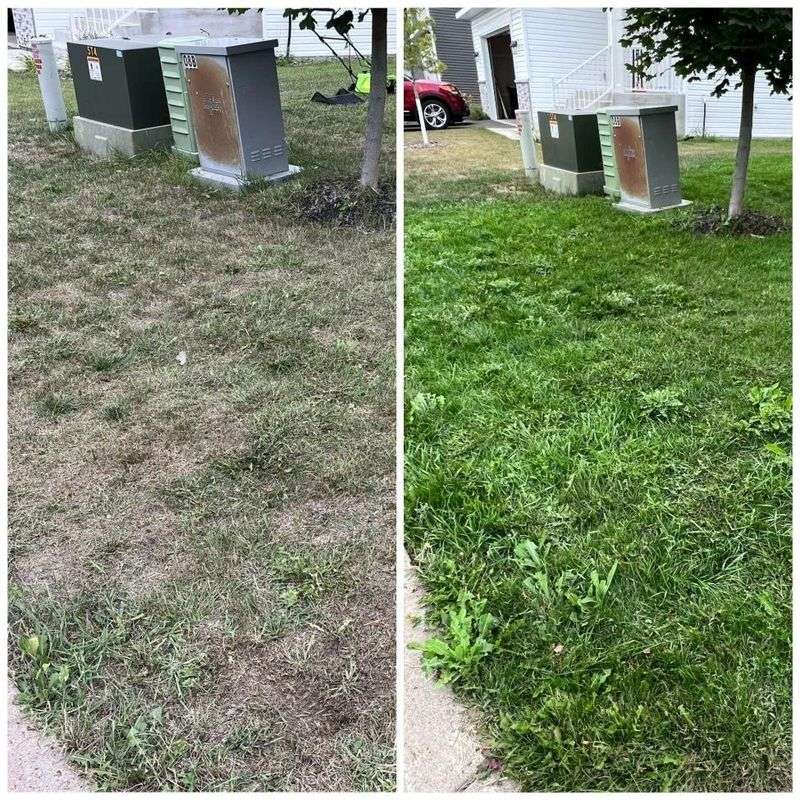 Overseed Cool-Season Lawn Areas