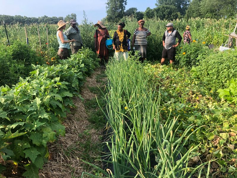 Engaging with the Local Gardening Community