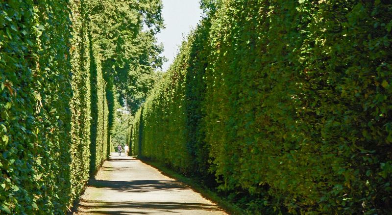 Work with Wind Patterns and Protection