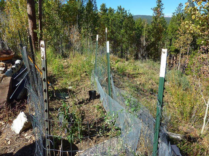 Defend Your Garden from Mountain Wildlife