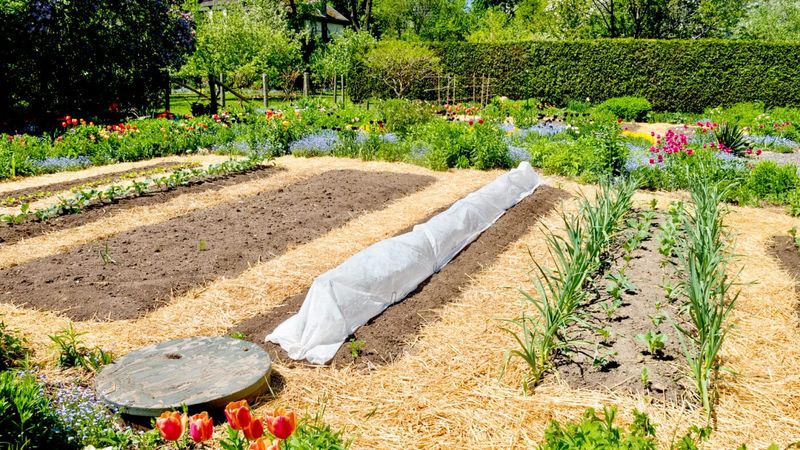 Strategic Mulching: Nature's Insulation System