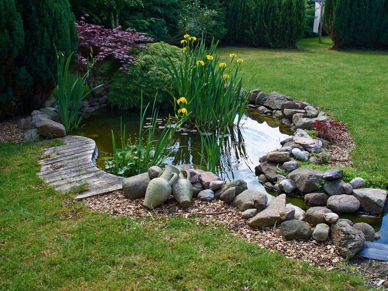 Small Backyard Pond