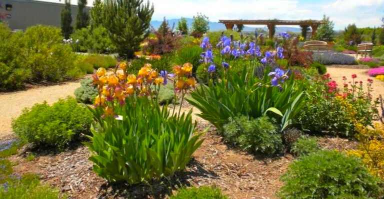 Gardening in Utah: How to Flourish in Desert Climates
