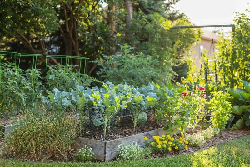 Proper Garden Hygiene Practices