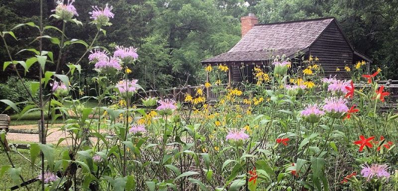 Strawberry Plains Audubon Center, Mississippi