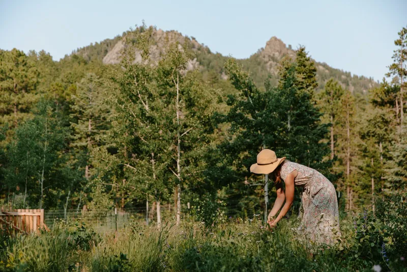 Smart Timing: Master the Mountain Growing Calendar