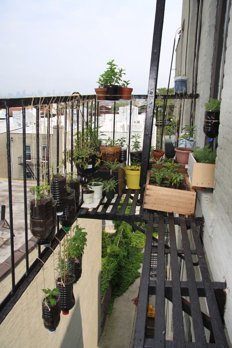 Container Gardens Transform Metal Platforms