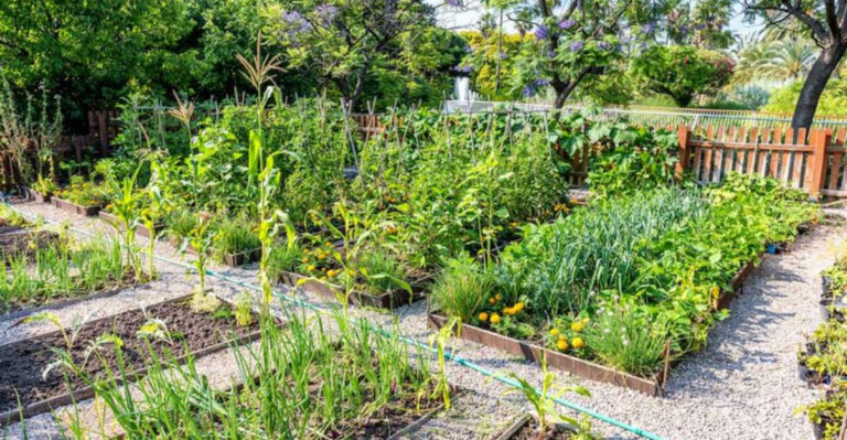 How to Garden in Massachusetts with Limited Space