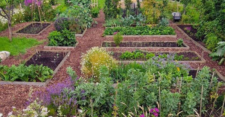 How to Grow a Thriving Vegetable Garden in Vermont’s Cool Climate