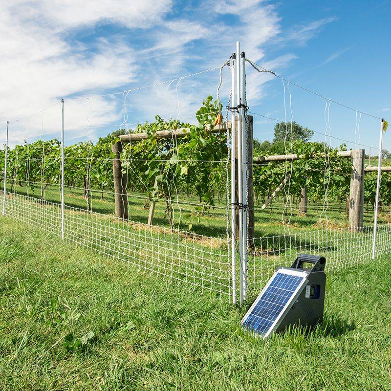 Go Electric with Low Fencing