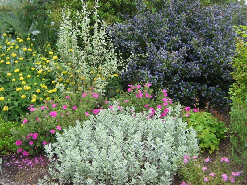 Create Microclimates Within Your Garden Space