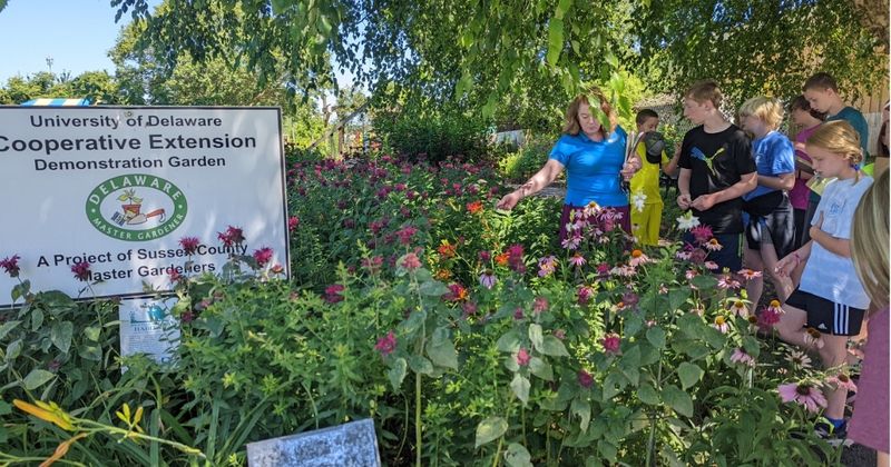 Utilize University Extension Resources