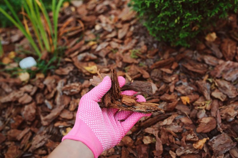 Seasonal Mulch Maintenance