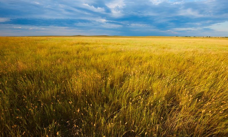 Climate Champions Fighting Global Warming