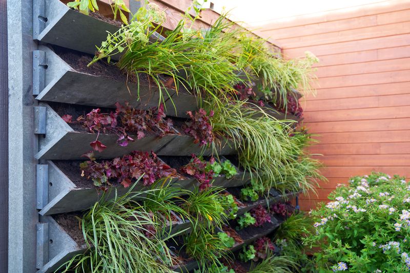 Build Upward with Vertical Gardens
