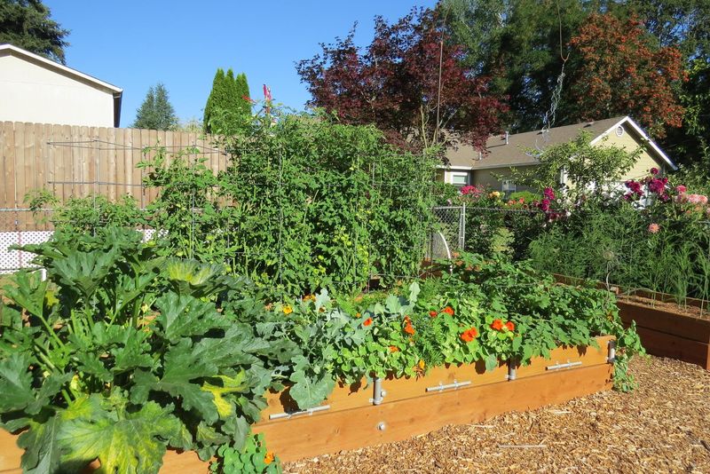 Master the Art of Soil Drainage