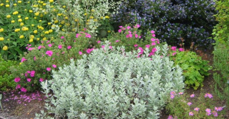 Oregon Gardening Tips: Growing Lush Gardens in a Rainy Climate