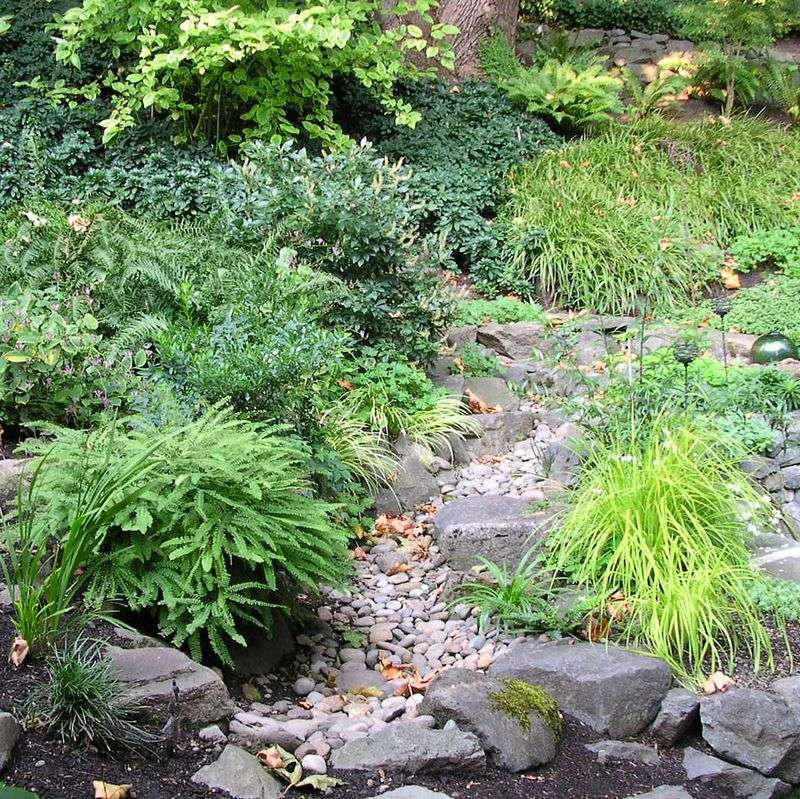 Create Strategic Rain Gardens for Natural Water Management