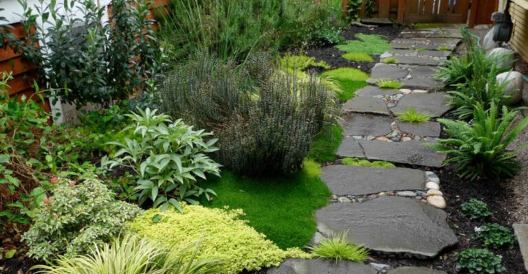 Oregon Rain Hack: Turning Endless Showers Into a Garden Superpower