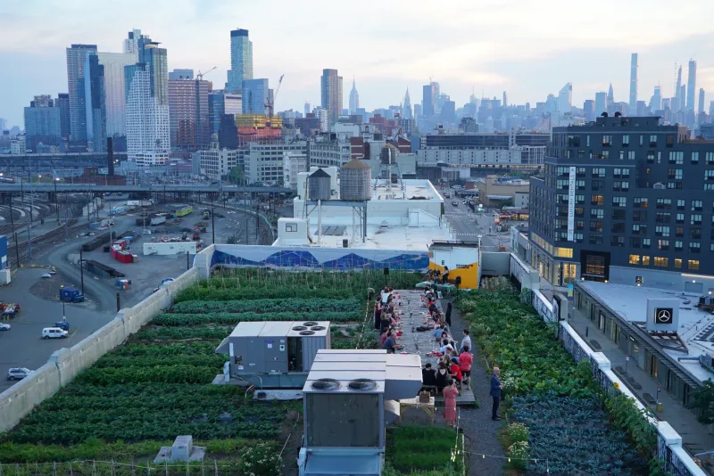 Building Relationships Through Garden Sharing