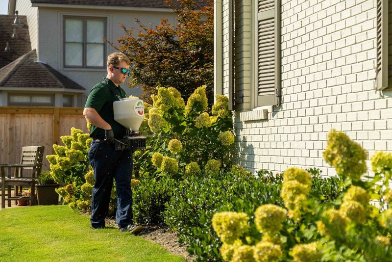 Disease Prevention Strategies