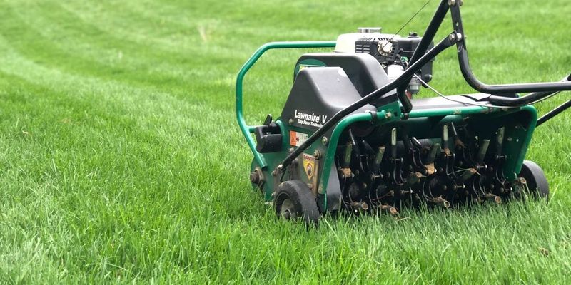 Lawn Overseeding and Repair
