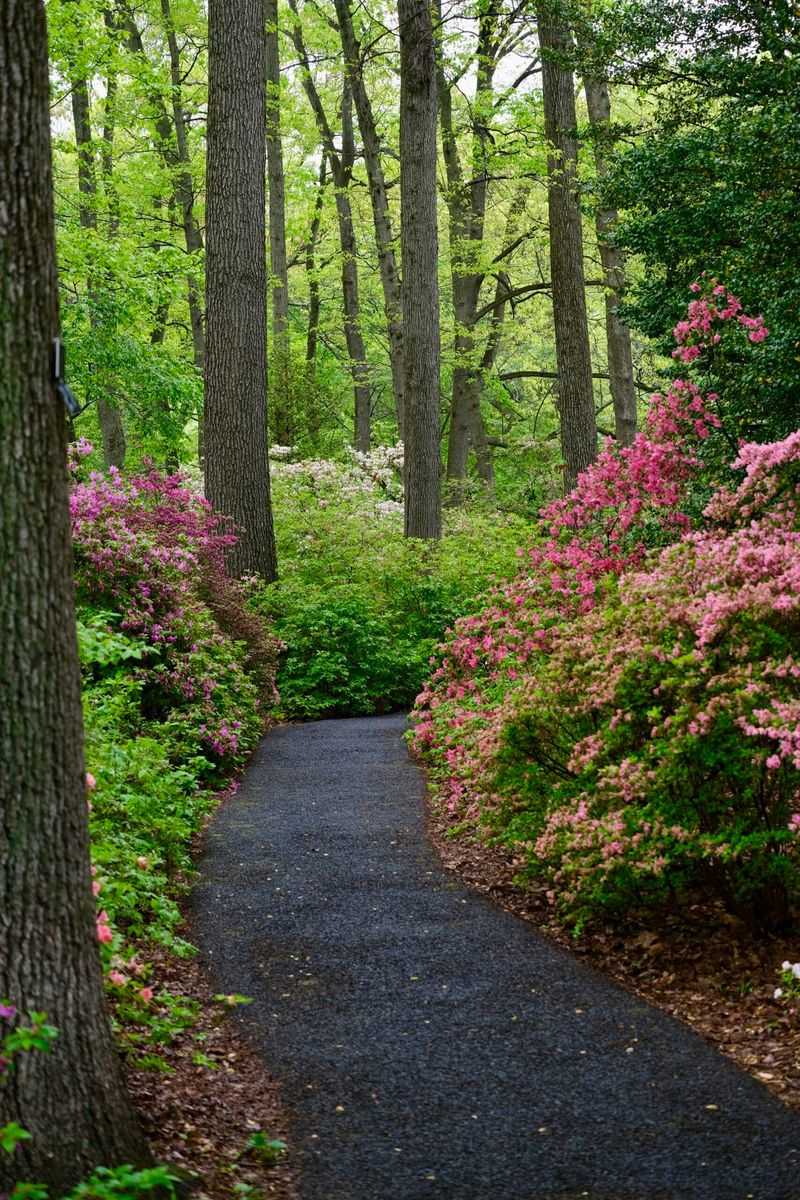 Jenkins Arboretum & Gardens