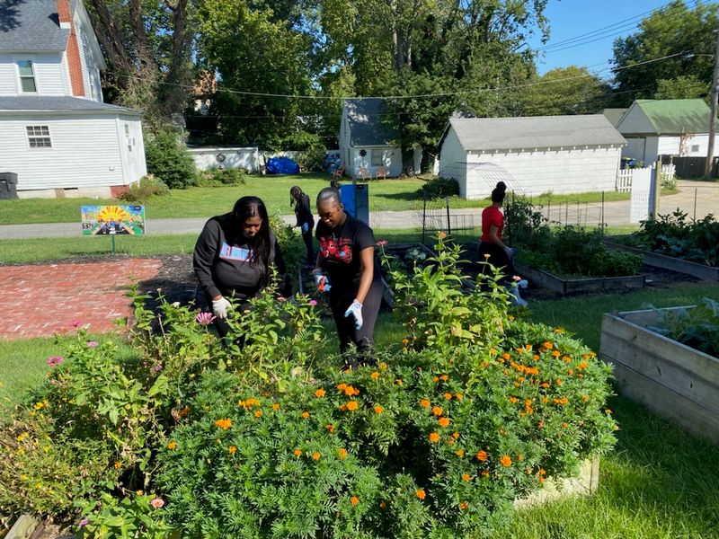 Join Community Garden Networks